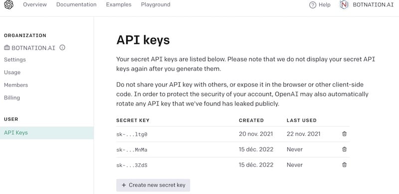 openai api key